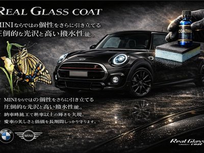 2025 MINI COOPER COUNTRYMAN — миниатюра 114