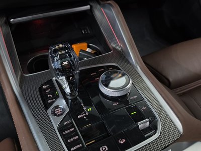 2022 BMW X6 照片 9
