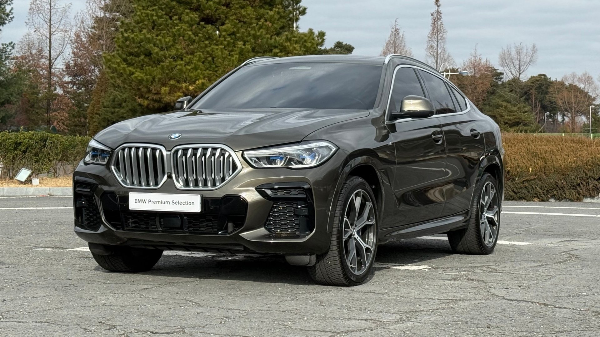 BMW X6 - View 1