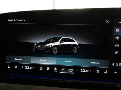 2025 AUDI A5 AVANT 缩略图 50