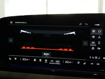 2025 AUDI A5 AVANT 缩略图 39