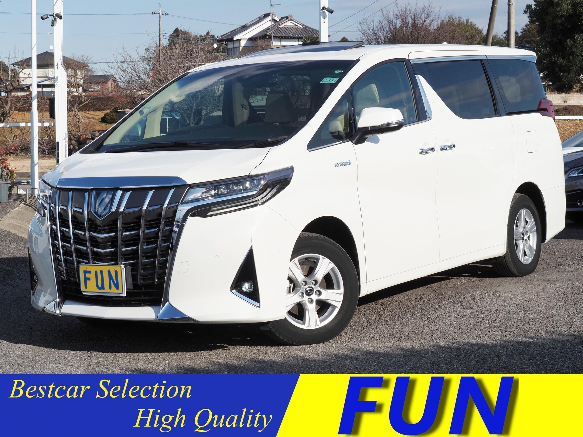 TOYOTA ALPHARD - View 1