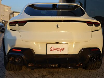 FERRARI PUROSANGUE - 10