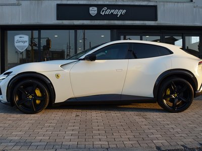 FERRARI PUROSANGUE - 8