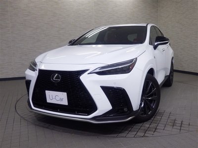 2023 Lexus NX 照片 6