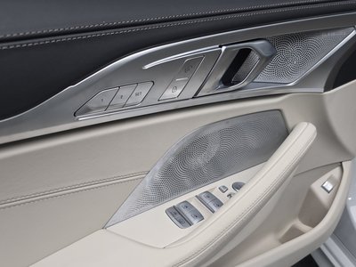2025 BMW 8 SERIES 缩略图 31