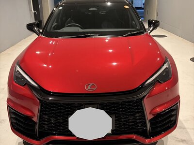 LEXUS LBX