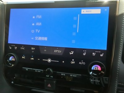 2025 TOYOTA ALPHARD 缩略图 14