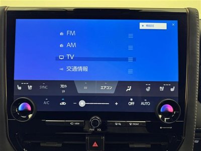 2024 TOYOTA ALPHARD 照片 5