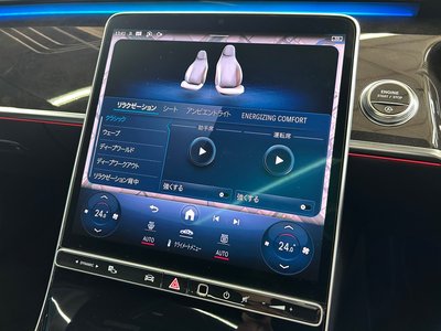 2021 Mercedes-BENZ S-CLASS 缩略图 48