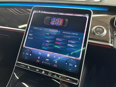 2021 Mercedes-BENZ S-CLASS 缩略图 49