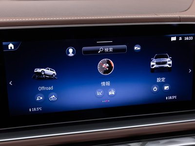 صورة مصغرة 55 لـ 2024 Mercedes-BENZ GLS MAYBACH
