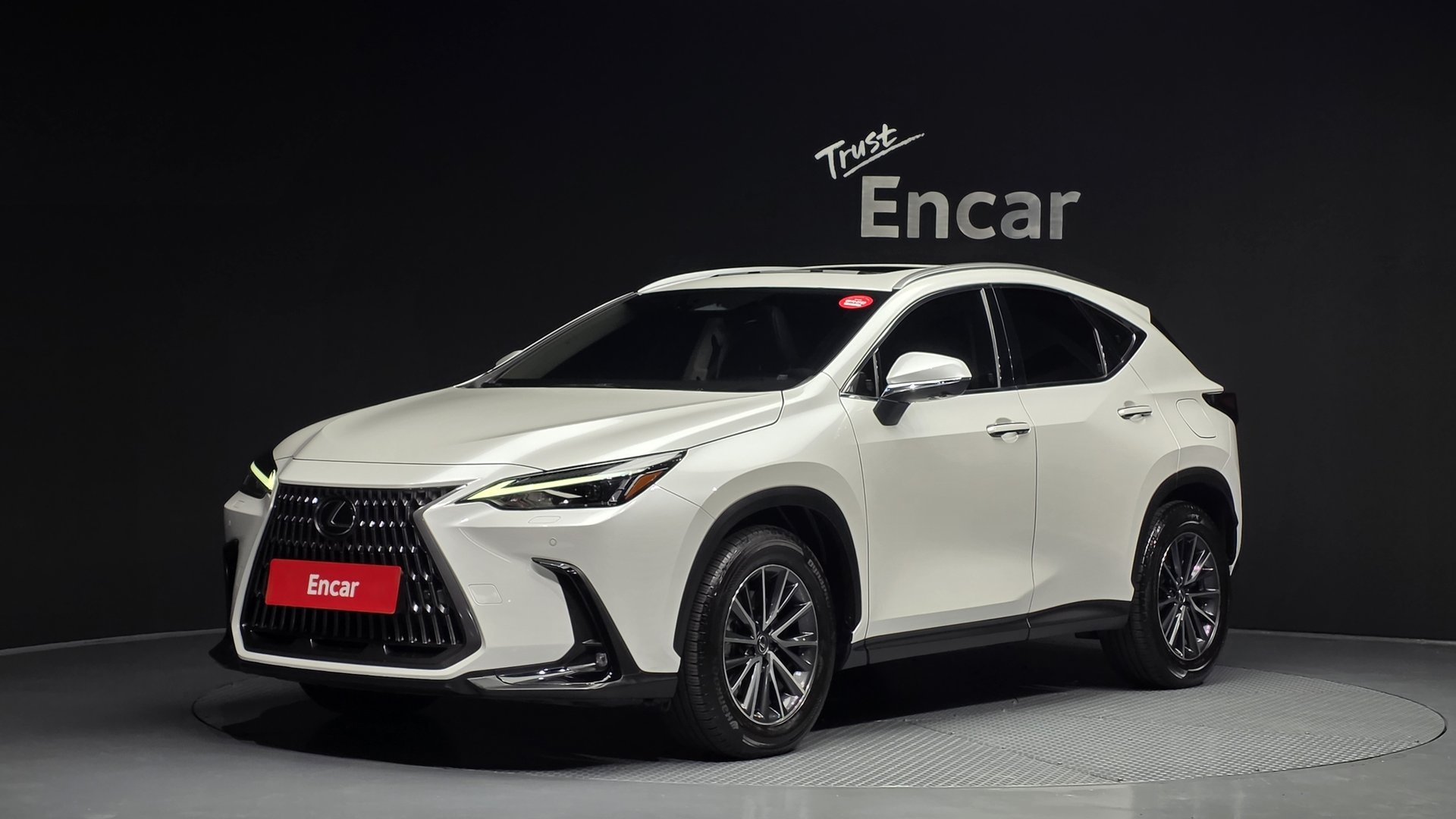 LEXUS NX - View 1