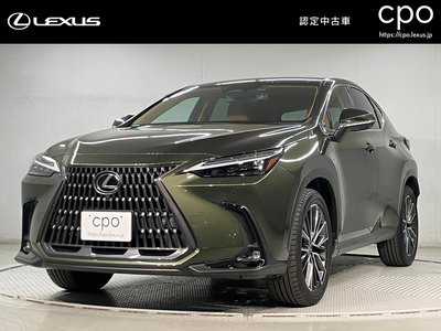 LEXUS NX - 1