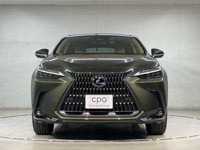 LEXUS NX - 2
