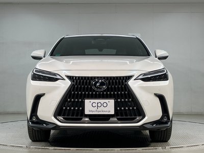 LEXUS NX - 3