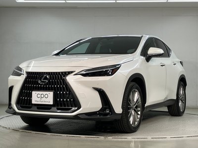 LEXUS NX - 1