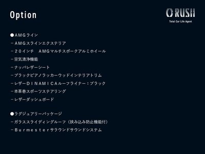 MERCEDES-BENZ G-CLASS - 2