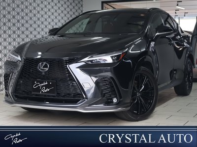 LEXUS NX - 1