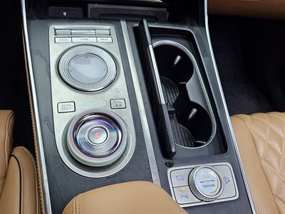 2020 Genesis GV80 缩略图 12