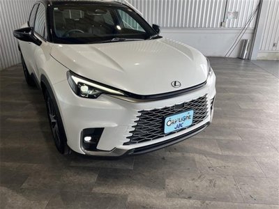 2025 Lexus LBX 缩略图 34