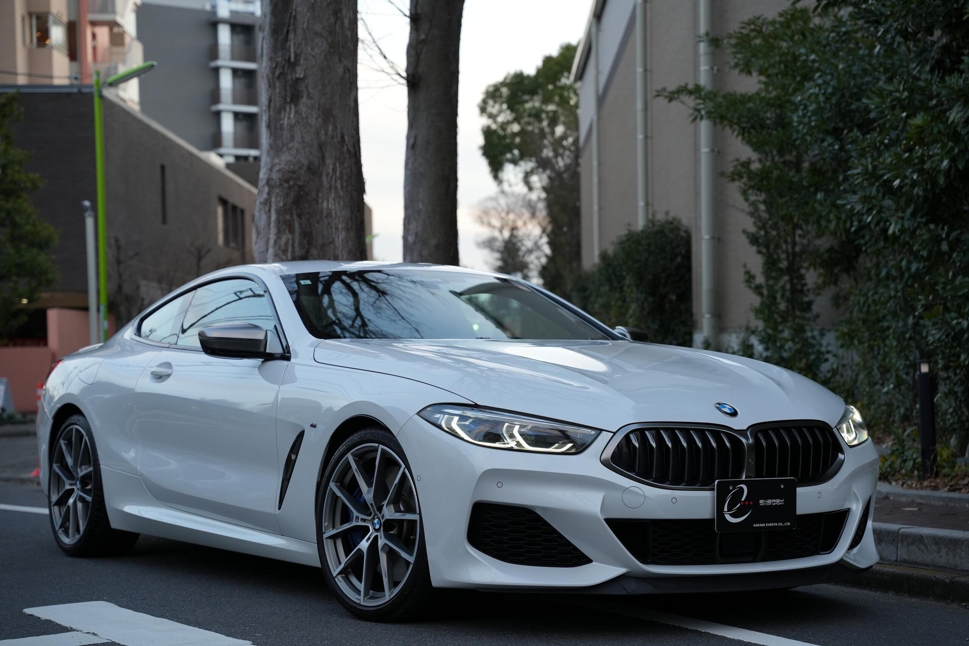 BMW 8 SERIES - View 1
