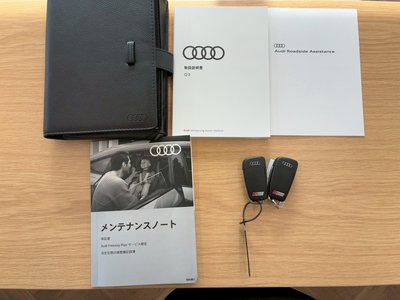 AUDI RS Q3 SPORTBACK - 4