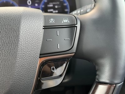 2024 Toyota ALPHARD 缩略图 30