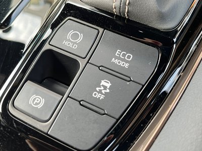2024 Toyota ALPHARD 缩略图 41