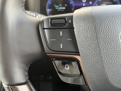 2024 Toyota ALPHARD 缩略图 29
