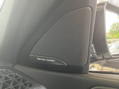 2023 BMW X6 缩略图 30