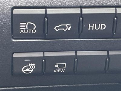 2019 Lexus RX thumbnail 20