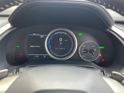 2019 Lexus RX thumbnail 21