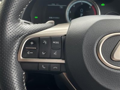 2019 Lexus RX thumbnail 17