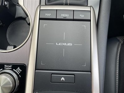 2019 Lexus RX 照片 8