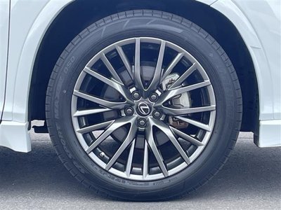 2019 Lexus RX thumbnail 34