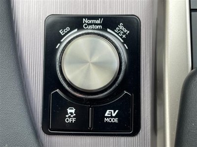 2019 Lexus RX thumbnail 11