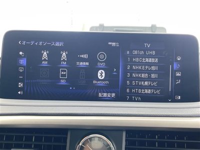 2019 Lexus RX 照片 2