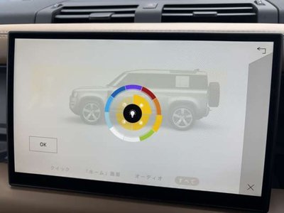 2025 LAND Rover DEFENDER 缩略图 24