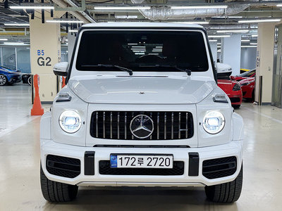 MERCEDES-BENZ G-CLASS - 1