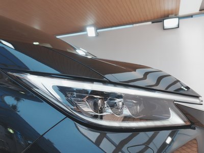 2025 Lexus LM — миниатюра 53