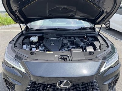 2025 Lexus RX 缩略图 11