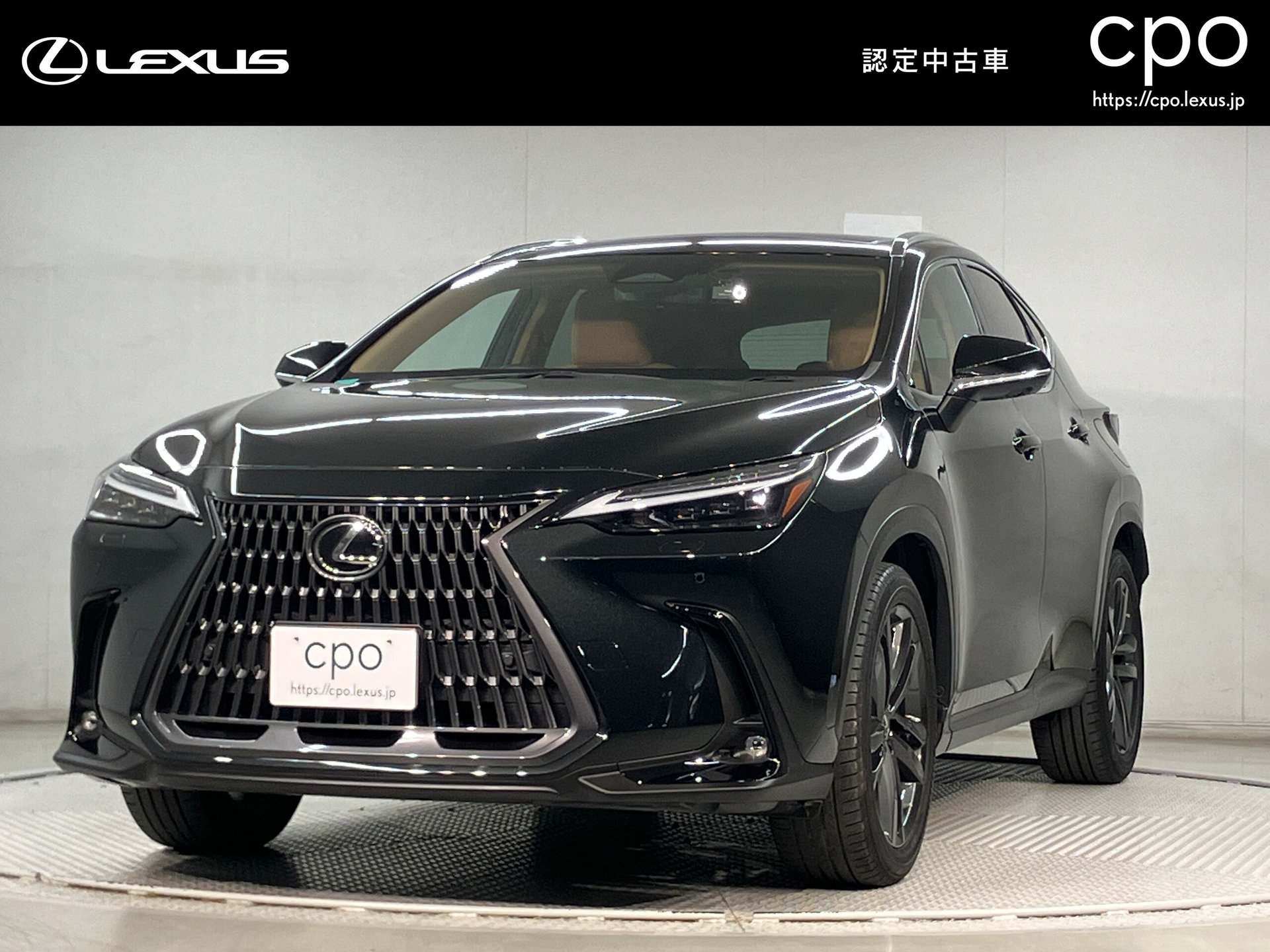 LEXUS NX - View 1