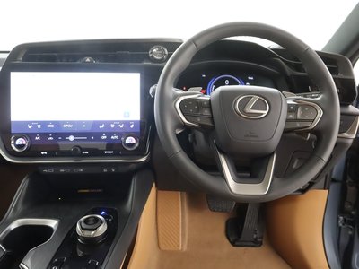 2024 Lexus RZ — миниатюра 14