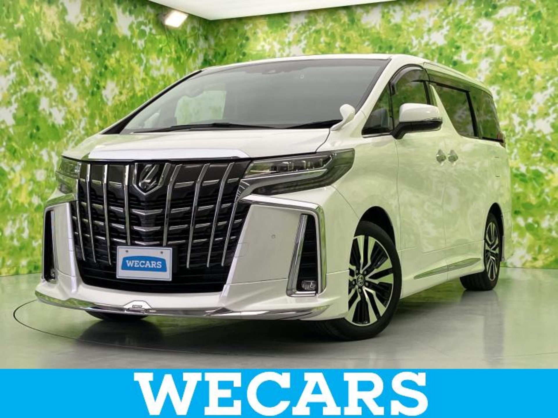 TOYOTA ALPHARD - View 1