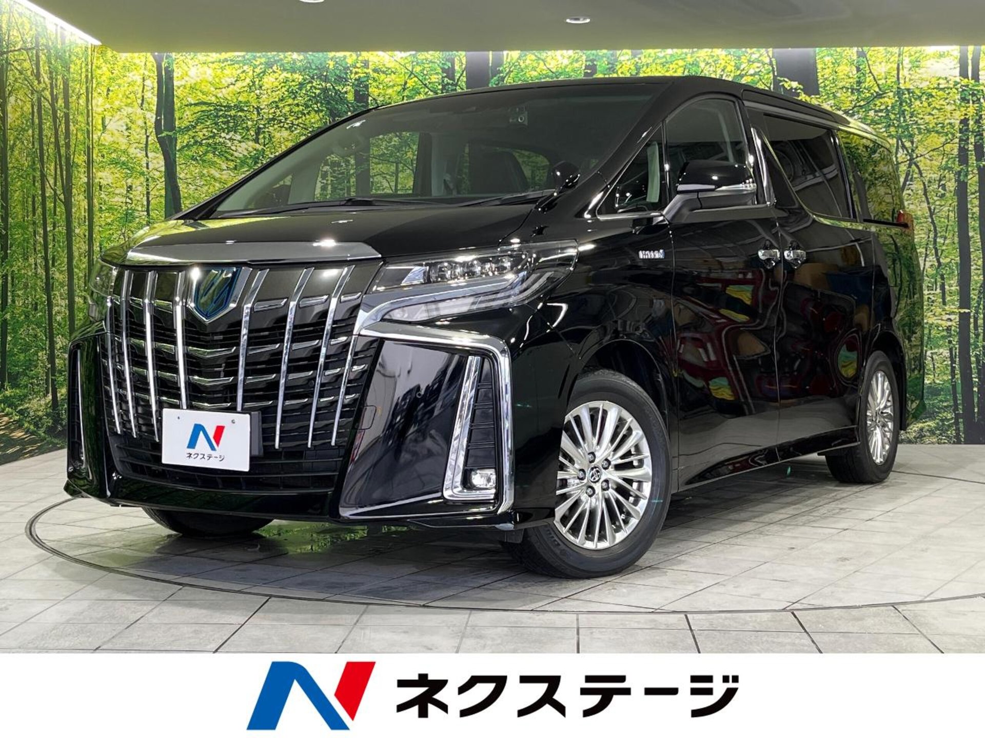 TOYOTA ALPHARD - View 1