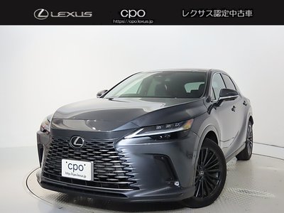 LEXUS RX - 1