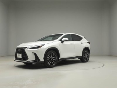 LEXUS NX - 4