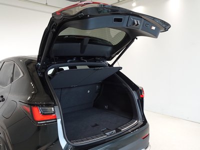 2023 Lexus NX 缩略图 22