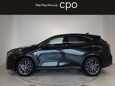 LEXUS NX - 6